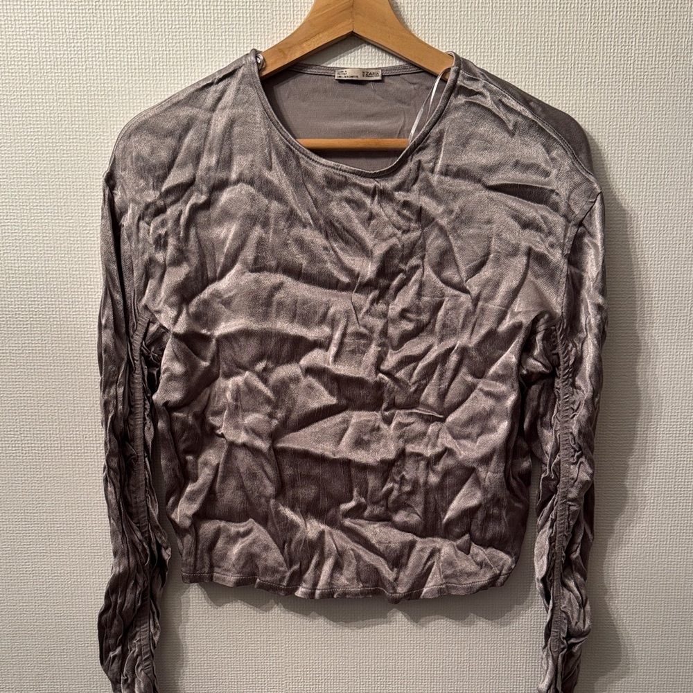 Zara Velvet Long Sleeve Top in Gray